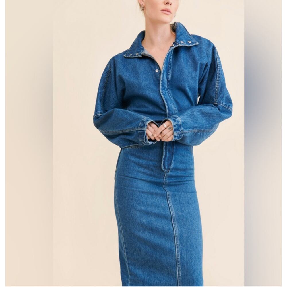 Ronny Kobo Sebastian Denim Dress Size Medium - Picture 2 of 11